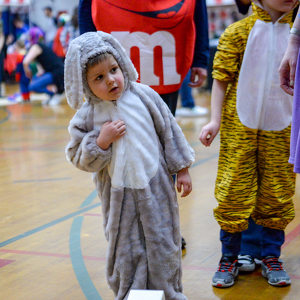 Community Connections